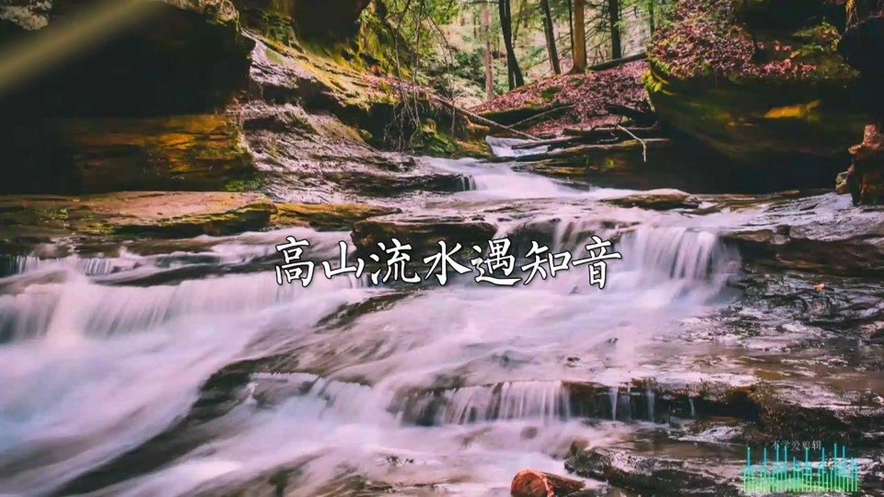 张家港农商银行获评中国外汇交易中心“市场进步机构”